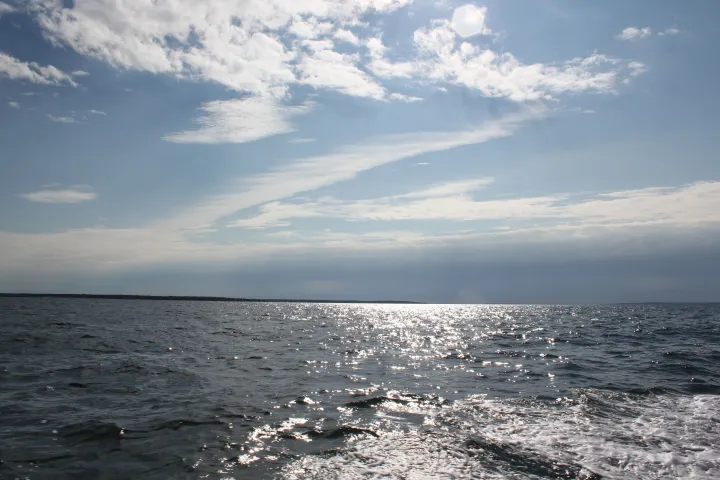 Memorial Service – Ash Spreading