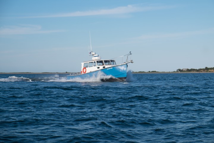 Plan Sea Boat in Water