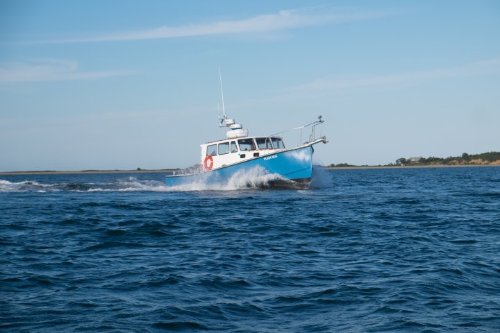 boat in water